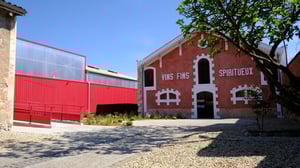 Vineyard Caveau de Lillet